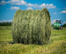 Фіни хочуть побудувати Україні завод по виробництву біометану з сіна